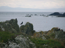 Northumberland and Scotland